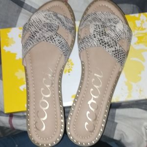 Women's size 8 Ccocci sandals